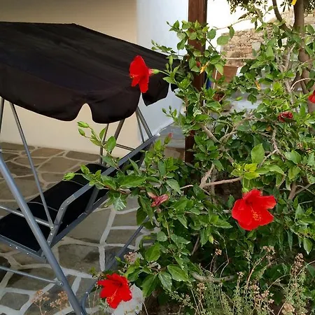 Traditional Villa Ftelia (Mykonos)
